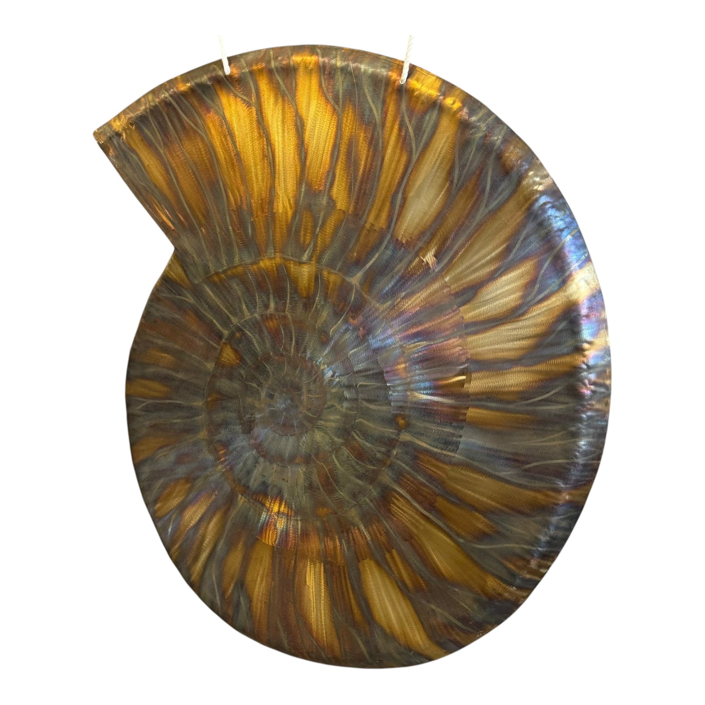 32" Dawn Ammonite Fibonacci Gong