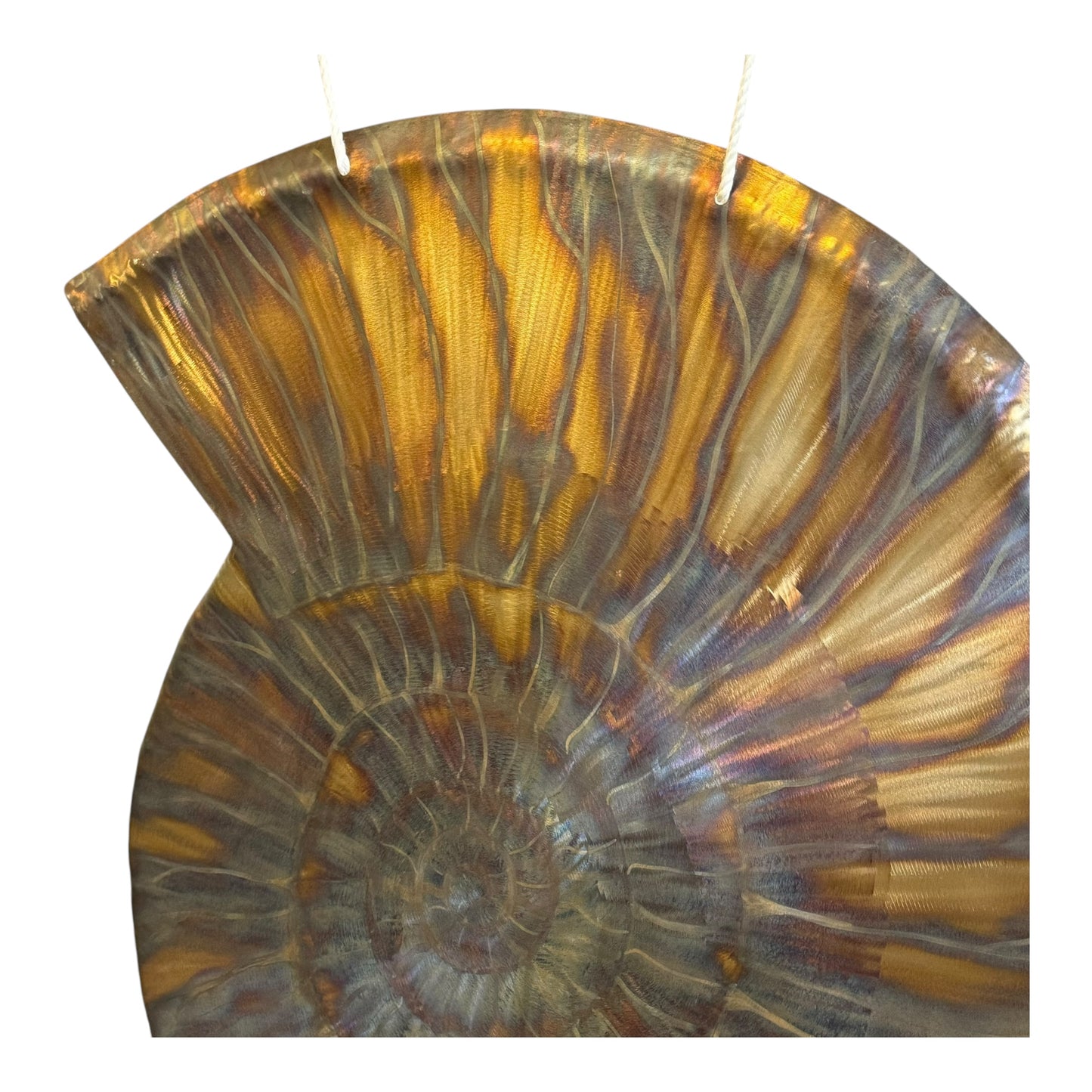 32" Dawn Ammonite Fibonacci Gong