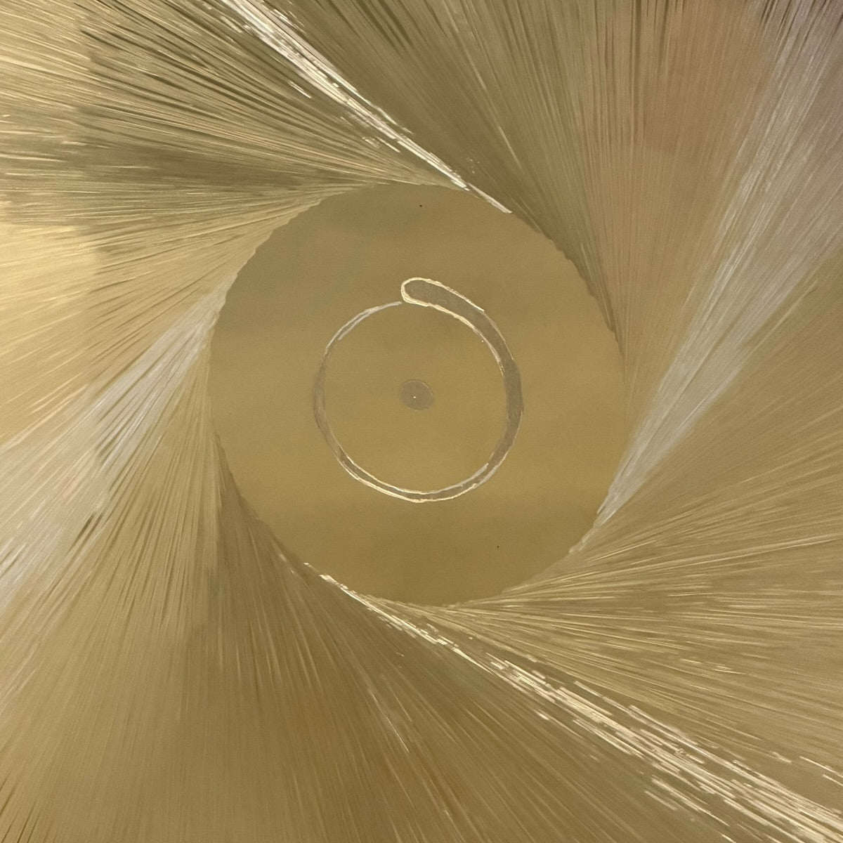 32" Planetary Gongs by GongWerkstatt