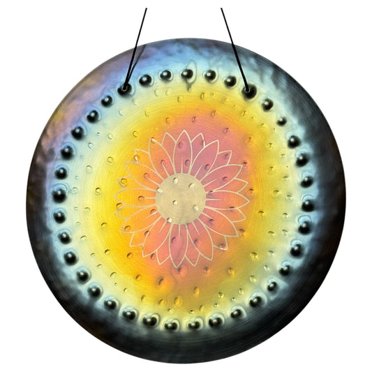 12” Ryan Shelledy Gongs - Nickel Silver