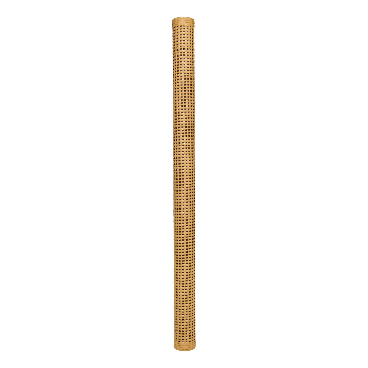 RS2XL-1