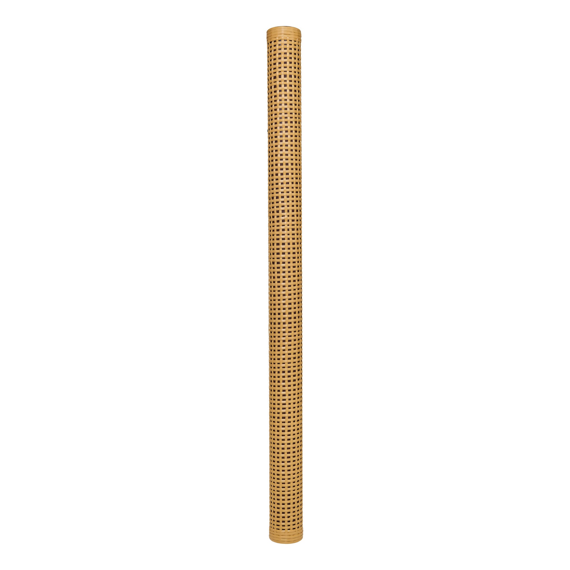 RS2XL-1