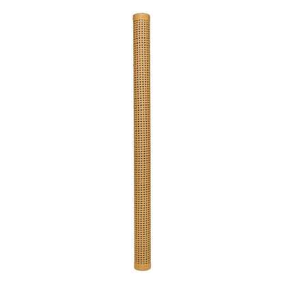 RS2XL-1