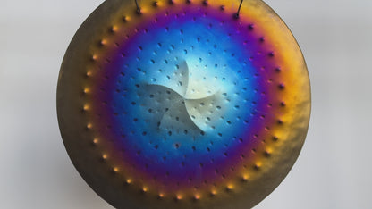 15” Ryan Shelledy Starfish Gong