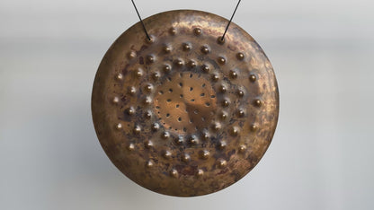 12” Ryan Shelledy Gongs - Phosphor Bronze