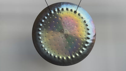 12” Ryan Shelledy Gongs - Nickel Silver